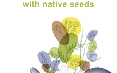 ‘Fleurs Locales’ publishes its “Guidelines for restoration with indigenous seeds”