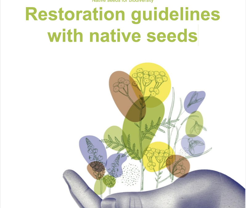 ‘Fleurs Locales’ publishes its « Guidelines for restoration with indigenous seeds